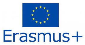 Erasmus + Akcja Kluczowa 2 – Partnerstwa na rzecz doskonałości: CENTRA DOSKONAŁOŚCI ZAWODOWEJ